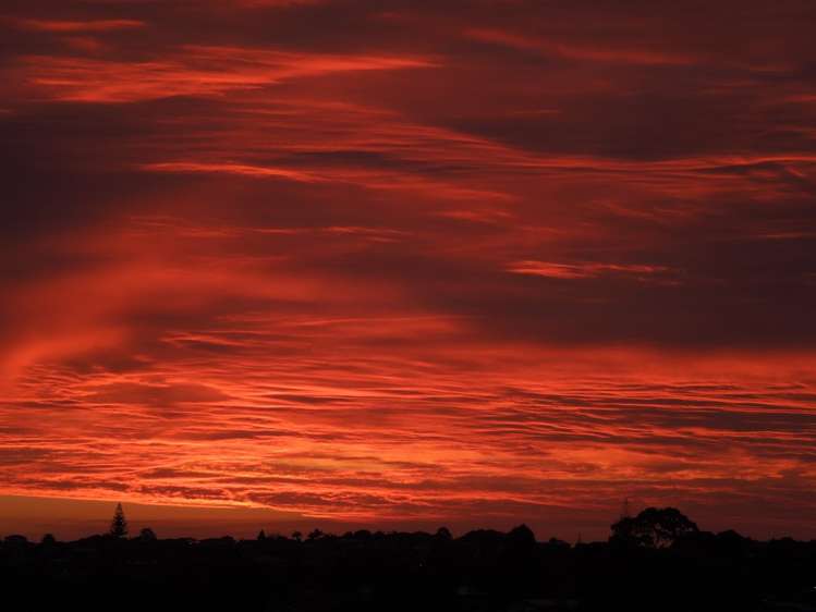 38 Rodney Street Howick_19