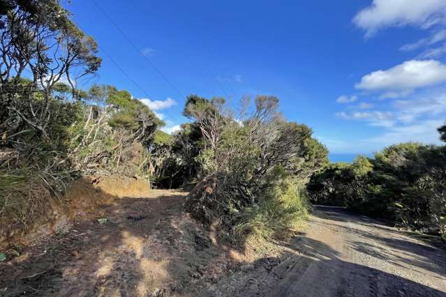 14 La Trobe Track Karekare_4