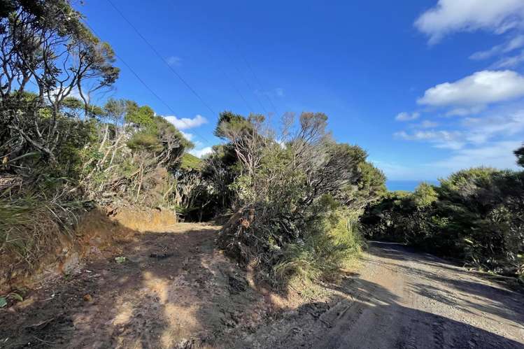 14 La Trobe Track Karekare_4