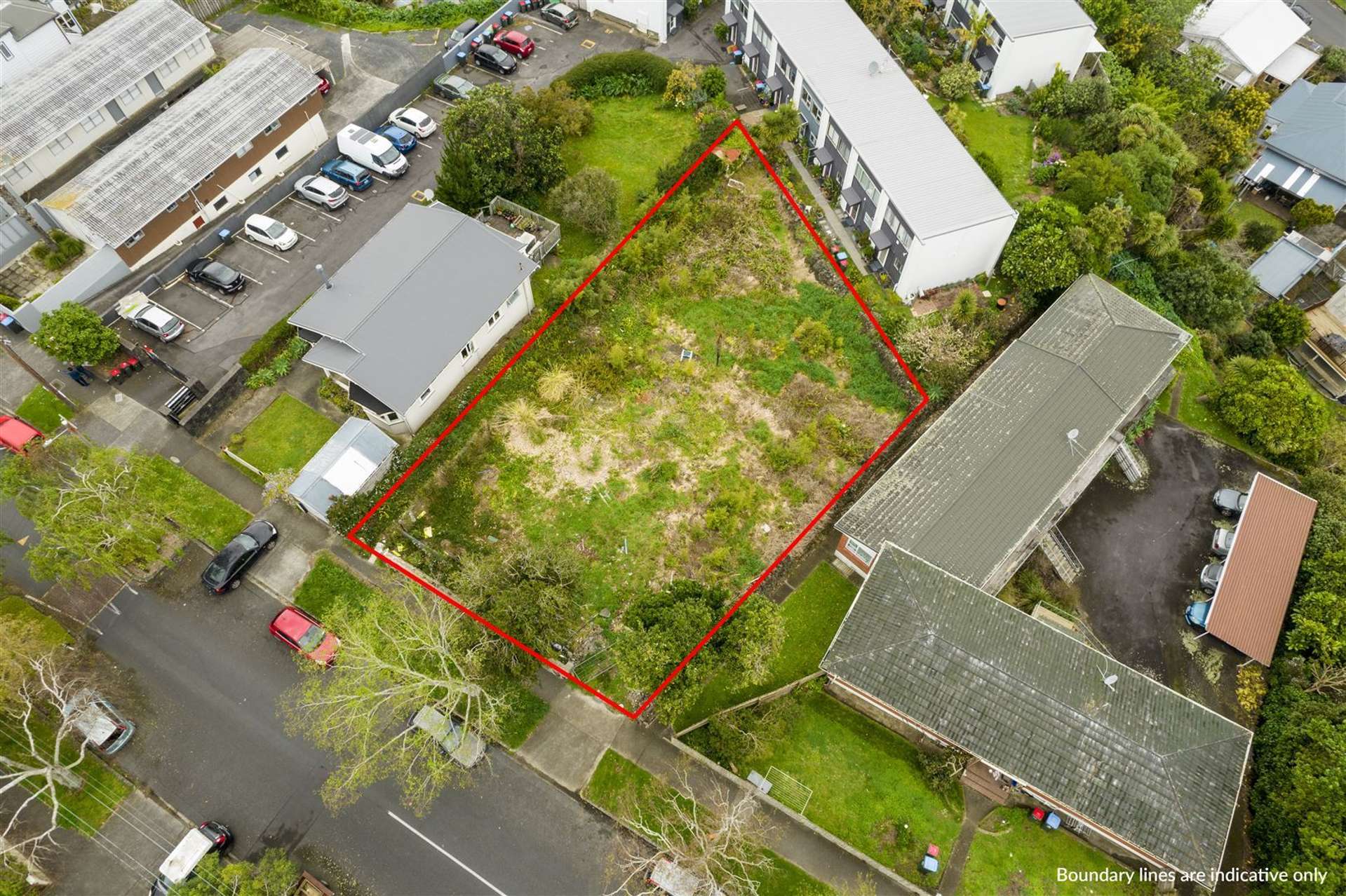 14 George Street Mount Eden_0