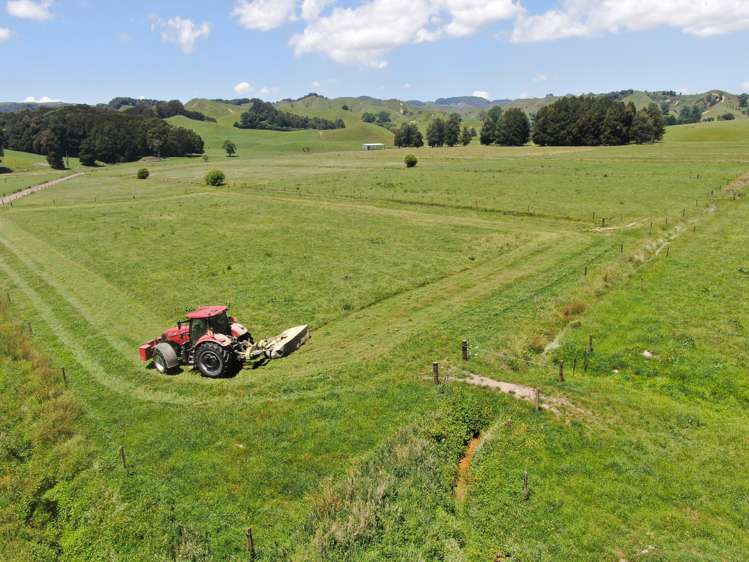 24 Pukeuha Road Aria_23