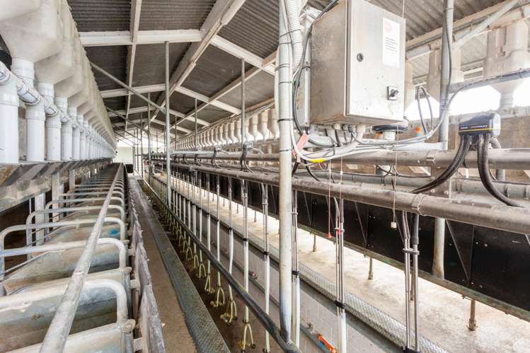 McKinley Road Te Aroha_29