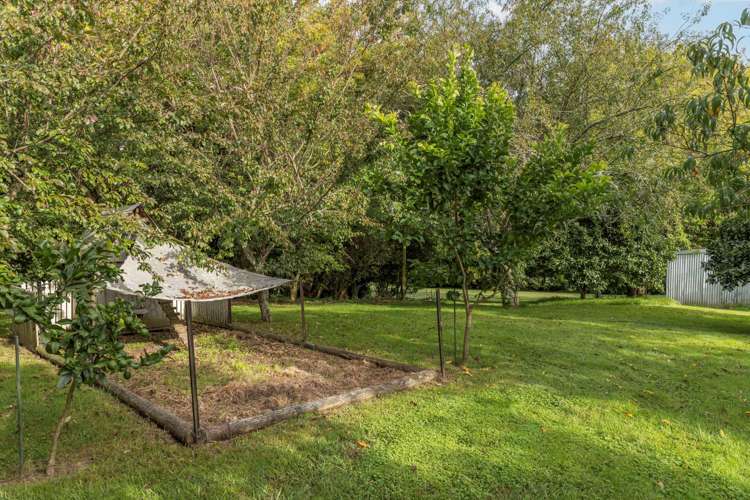 107 Horrell Road Morrinsville_6