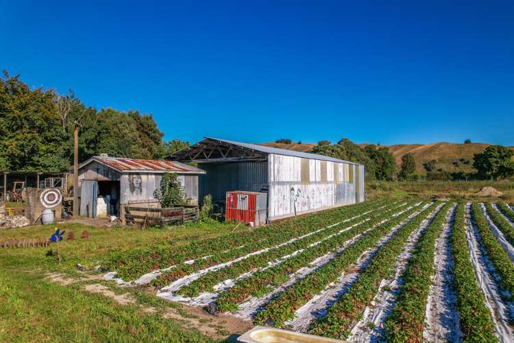 292 Wakefield-Kohatu Highway Wakefield_14