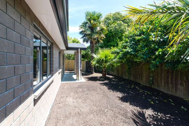 53a Pomaria Road Henderson_1