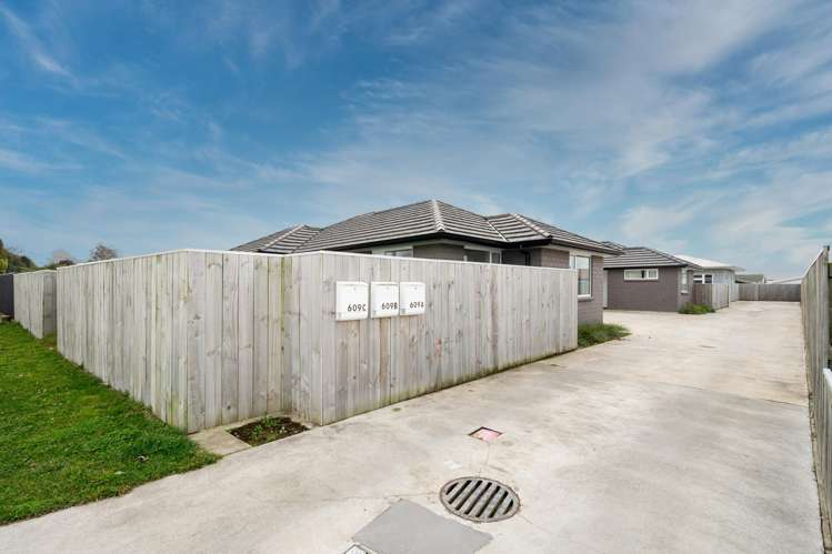 609c Omahu Road Frimley_9