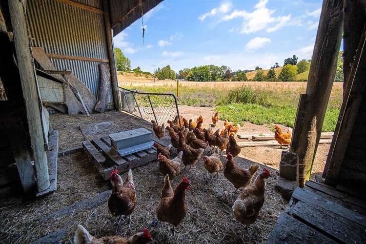 99 Rose Road Upper Moutere_35