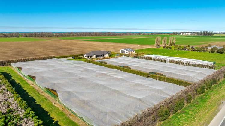 16 Arowhenua Station Road Kerrytown_88