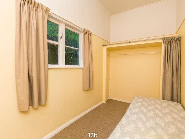 37 Devon Street Aro Valley_12