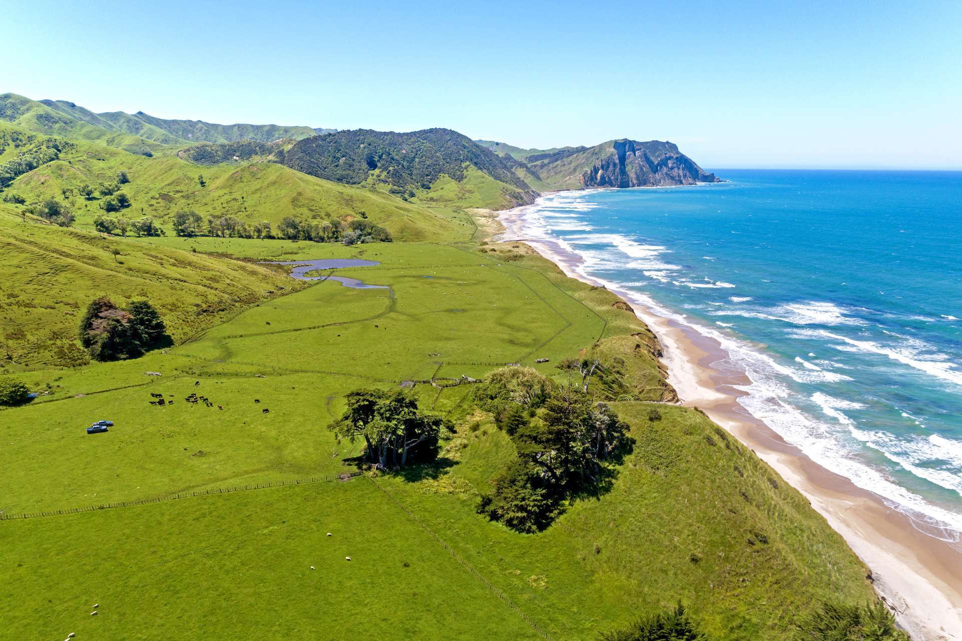 Waihau Station - 618 Waihau Road Tolaga Bay_0