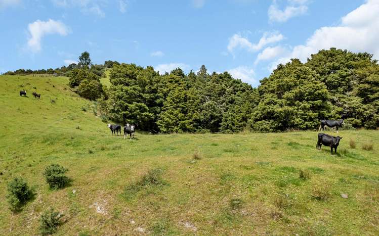 123 Homackey Road Matakohe_7