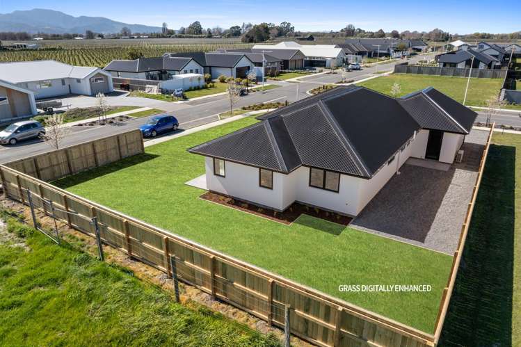 2 Bond Street Springlands_3