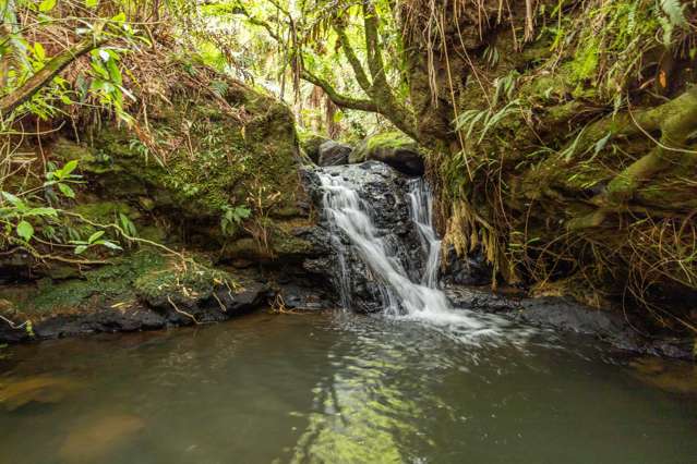 Luxury living in the heart of nature