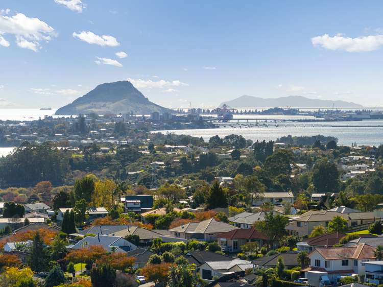 14 Honeysuckle Lane Ohauiti_33