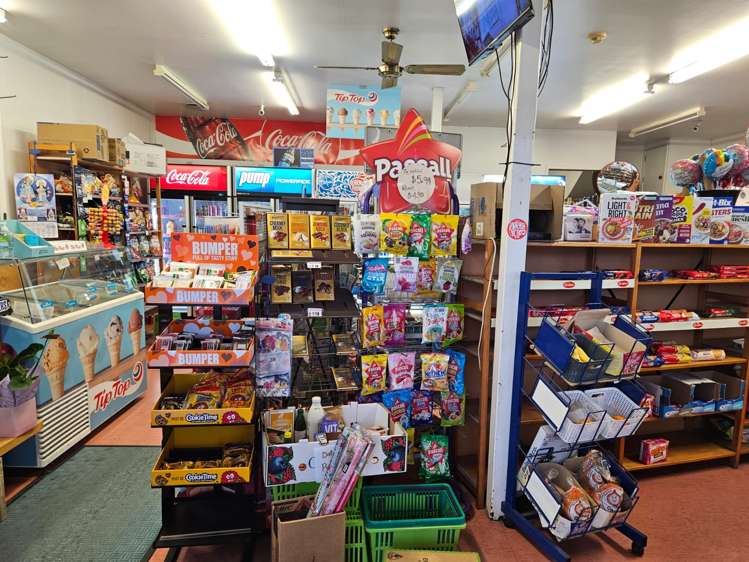 63 Williamson Avenue Grey Lynn_7