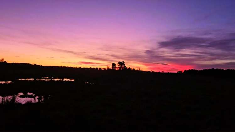 86 Newcastle Street Waimangaroa_7