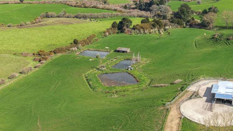 291 Waring Road Taupiri_40