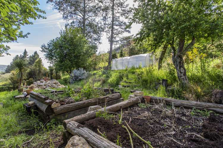 1228 Greta Road Greta Valley_11