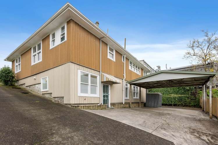 8 White Swan Road Mount Roskill_12