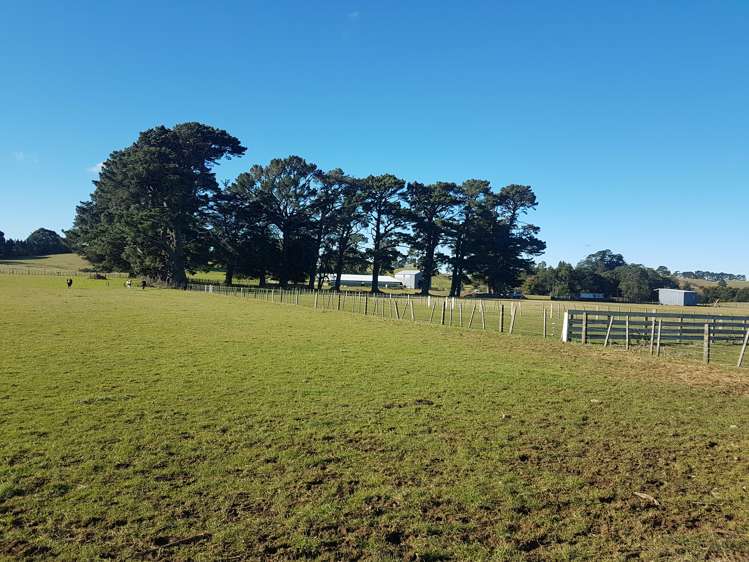 76064 State Highway 2 Rangitikei Surrounds_13