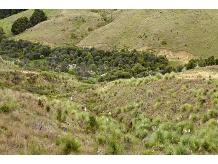 47 Haul Road Tahekeroa_20