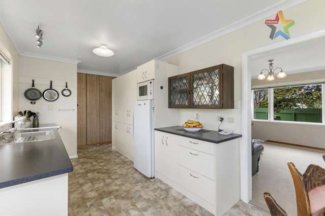 72 Tiro Tiro Road Levin_4