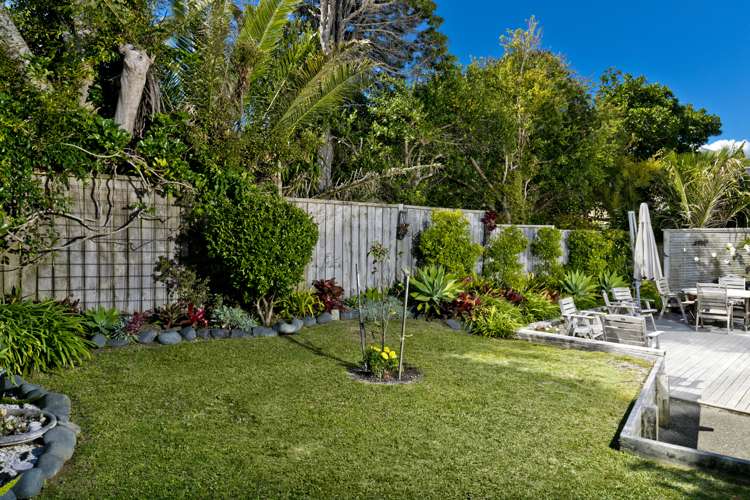 49a Toroa Street Torbay_8