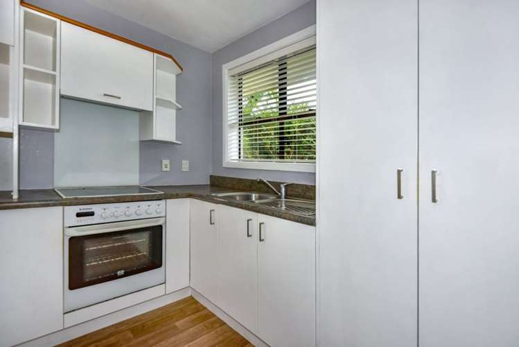 22 Boston Avenue Hornby_9