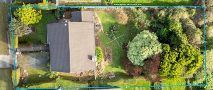 86 Waimea Avenue Calton Hill_10