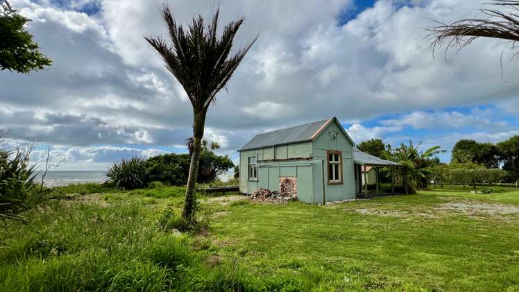 37 Nikau Road, State Highway 67 Hector_11