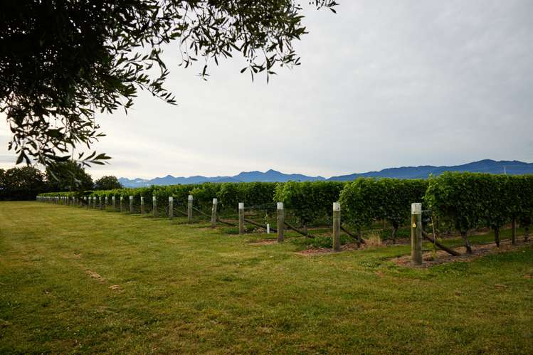 22 Burnside Avenue Springlands_18