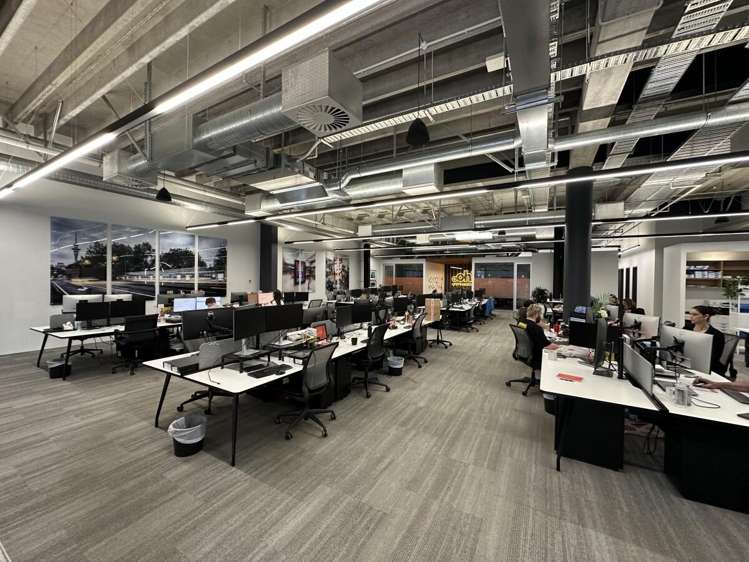 22 Pollen Street Grey Lynn_10