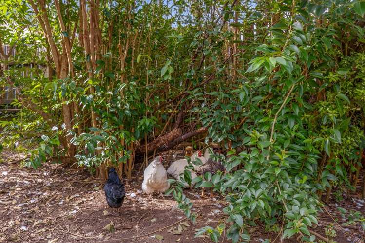 33 Ema Street Te Aroha_23