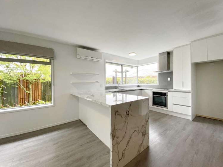 2/66 Middlepark Road Sockburn_1