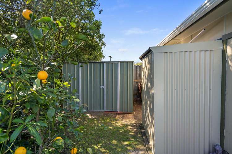 26 Kaka Street Stoke_27
