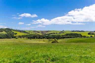 219 Tapu Bush Road_2