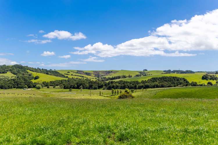 219 Tapu Bush Road Whangaripo_2