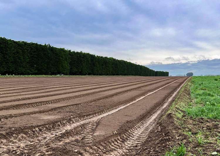 486 Irving Road and 150 Angle Road Woodlands_9