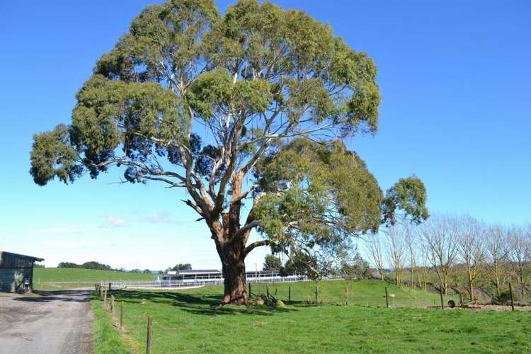 574 Rawhiti Road Reporoa and Surrounds_9
