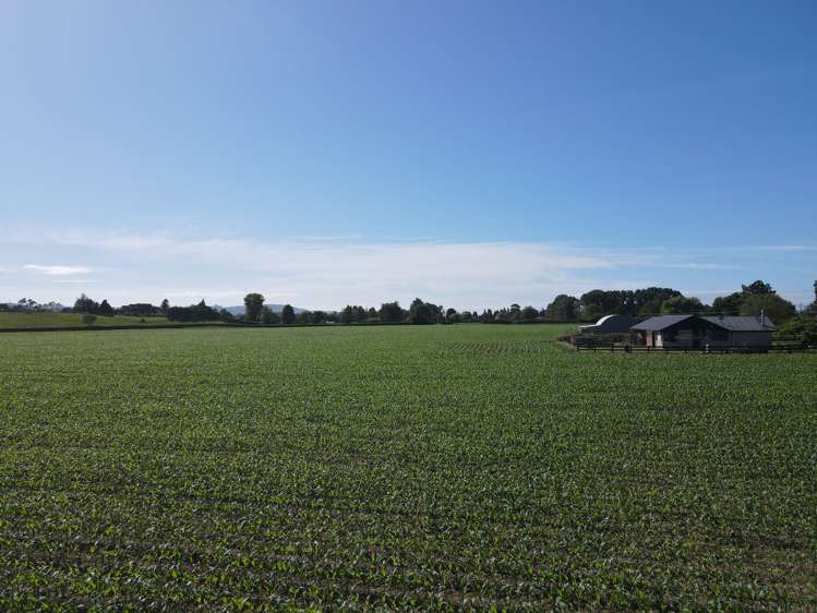 390 Marychurch Road Matangi_14