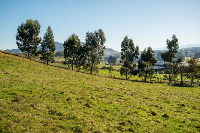 89C Mckinnon Road Mcnab_4