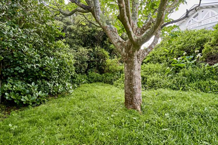 41 Tio Tio Road Miramar_13