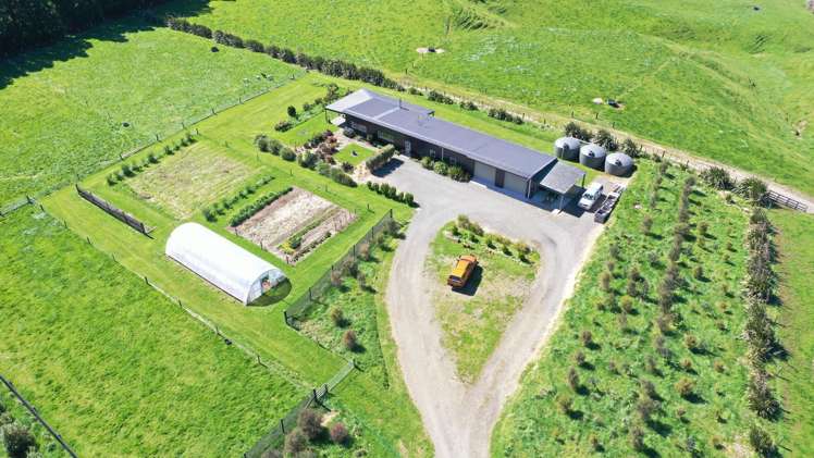 1961 Te Matai Road Te Puke_23