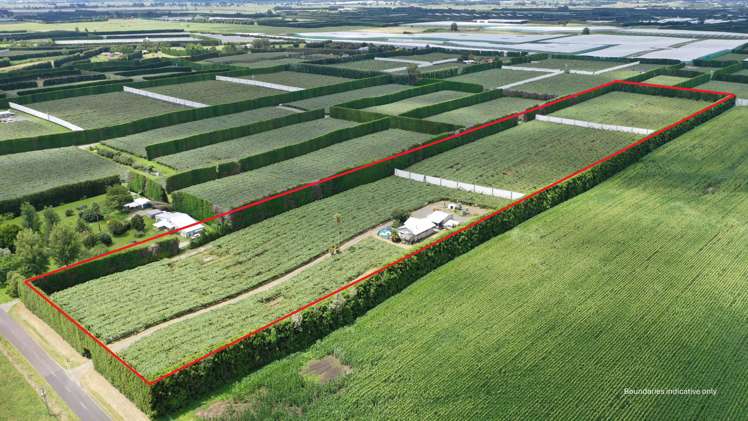 136 Kelly Road Te Puke_1