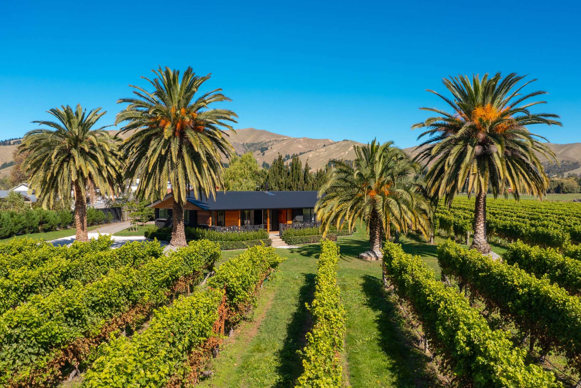 Alabama Road Riverlands_0