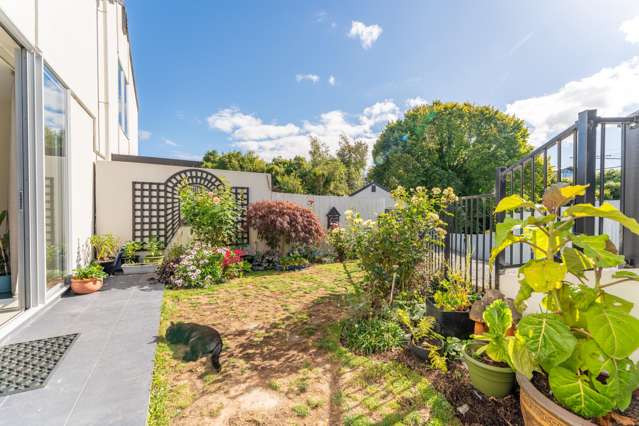 2/8 Braemar Place Marchwiel_3
