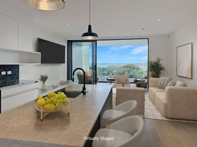 217 Great North Road, Grey Lynn