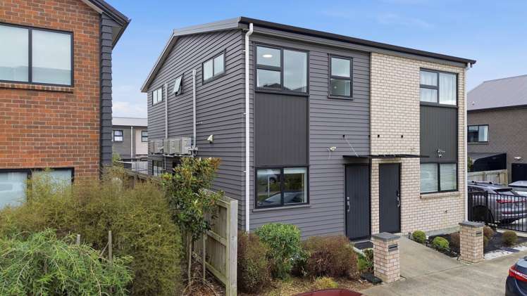 55 Haroto Street_5