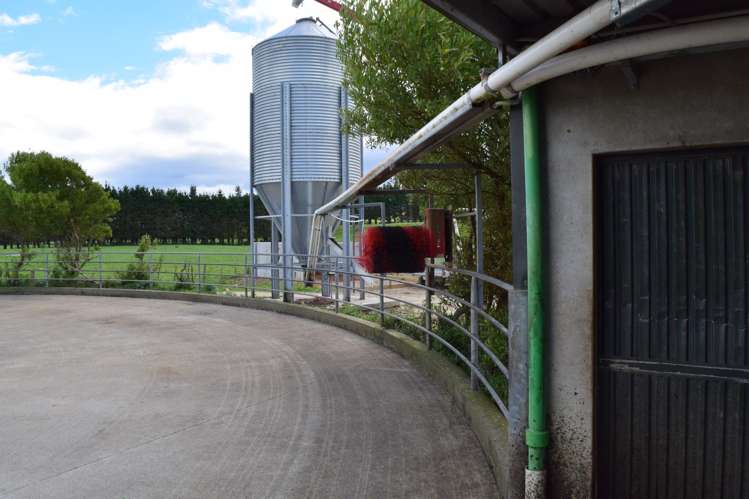 434 Pukehoi Road Eketahuna_7