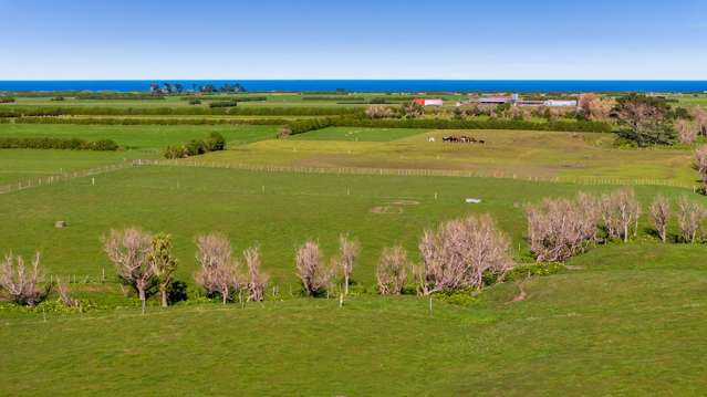 1541 South Road (SH 45) Manaia_2